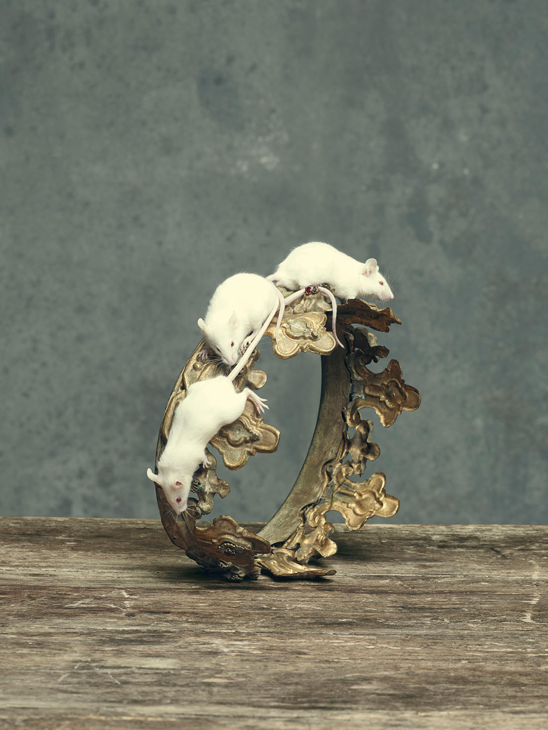 Men's Unos International 